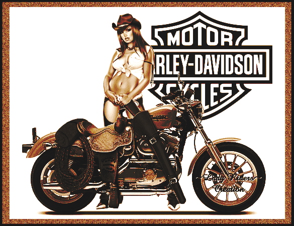 Download this Harley Davidson... picture