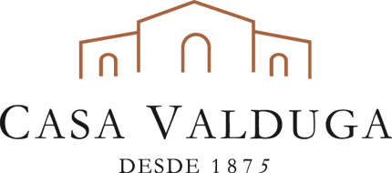 Casa-Valduga-copy