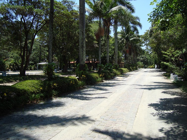 Alamedas da Hípica Santo Amaro, local do Clássicos do Brasil 