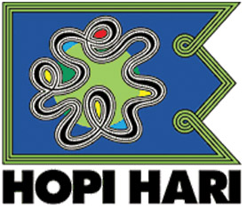 hopi-hari (1)